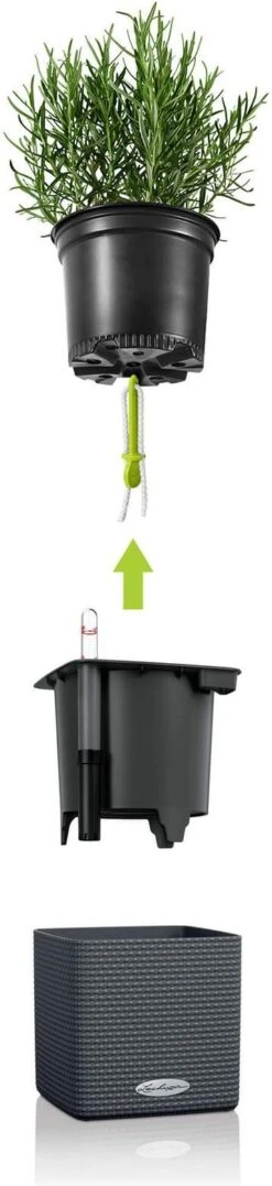 Lechuza Green Wall Home Kit Wit 48 X 15 X 14 Cm -Mooi Moestuin 4008789133984 3