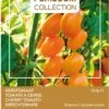 Buzzy® Pomodori Groentezaad Kerstomaat (Lycopersicon Esculentum 'Dolly' F1)