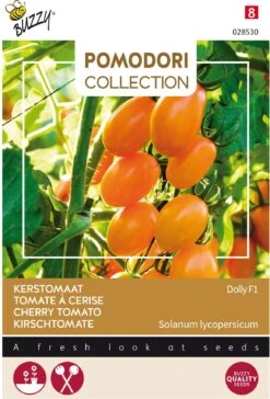 Buzzy® Pomodori Groentezaad Kerstomaat (Lycopersicon Esculentum 'Dolly' F1)