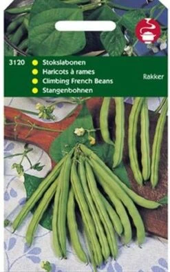 Groentezaad (Phaseolus Vulgaris 'Rakker')