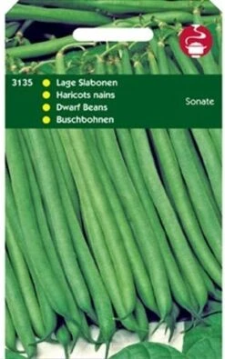 Groentezaad Stamslaboon (Phaseolus Vulgaris 'Sonate')