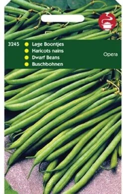 Groentezaad Stamslabonen (Phaseolus Vulgaris 'Opera/Safari')