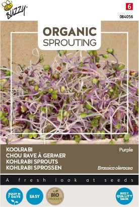 Buzzy Kiemgroentezaad Koolrabi (Brassica Oleracea Acephala Var Gongylodes) 1 Buzzy Kiemgroentezaad Koolrabi (Brassica Oleracea Acephala Var Gongylodes)