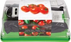 Buzzy® Kweekset Tomaat (Lycopersicon Esculentum)