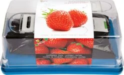Buzzy® Kweekset Aardbei (Fragaria)