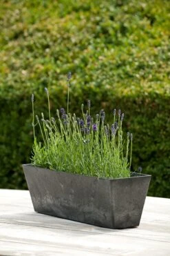 Mooi Moestuin -Mooi Moestuin 8711355326418 1 2