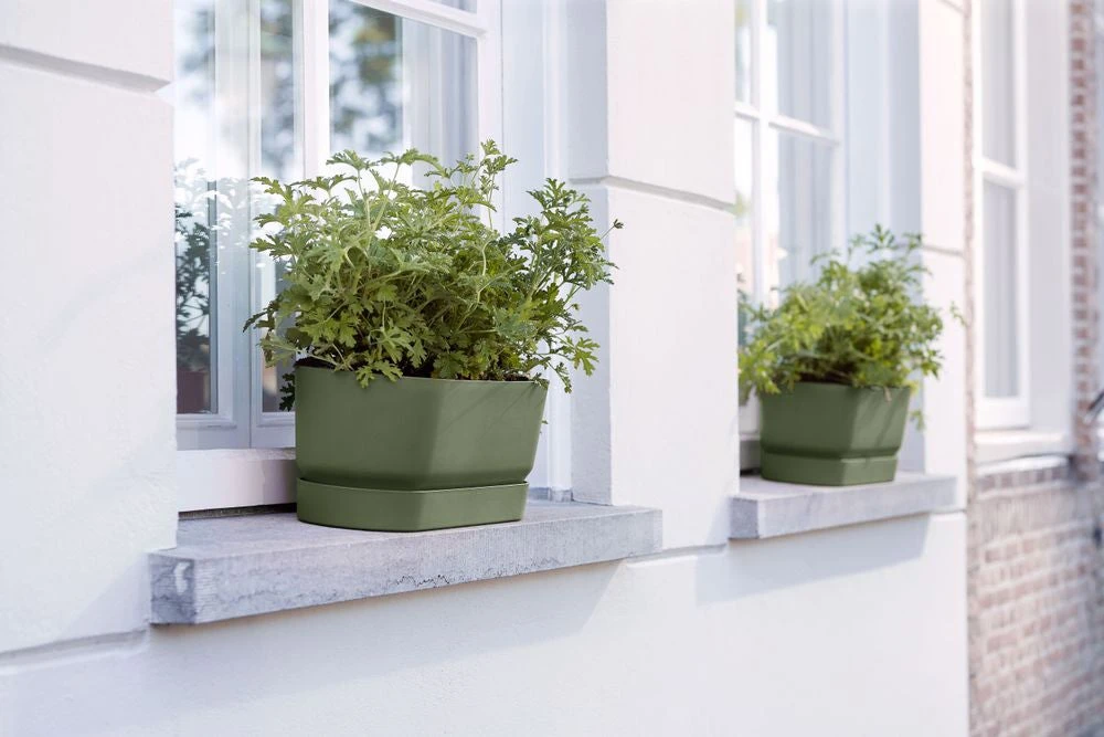 Mooi Moestuin -Mooi Moestuin 8711904357733 3