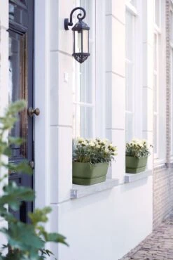 Elho Plantenbak Greenville Groen 69 X 20 X 18 Cm -Mooi Moestuin 8711904357733 4