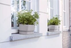 Elho Plantenbak Greenville Grijs 69 X 20 X 18 Cm -Mooi Moestuin 8711904357764 3