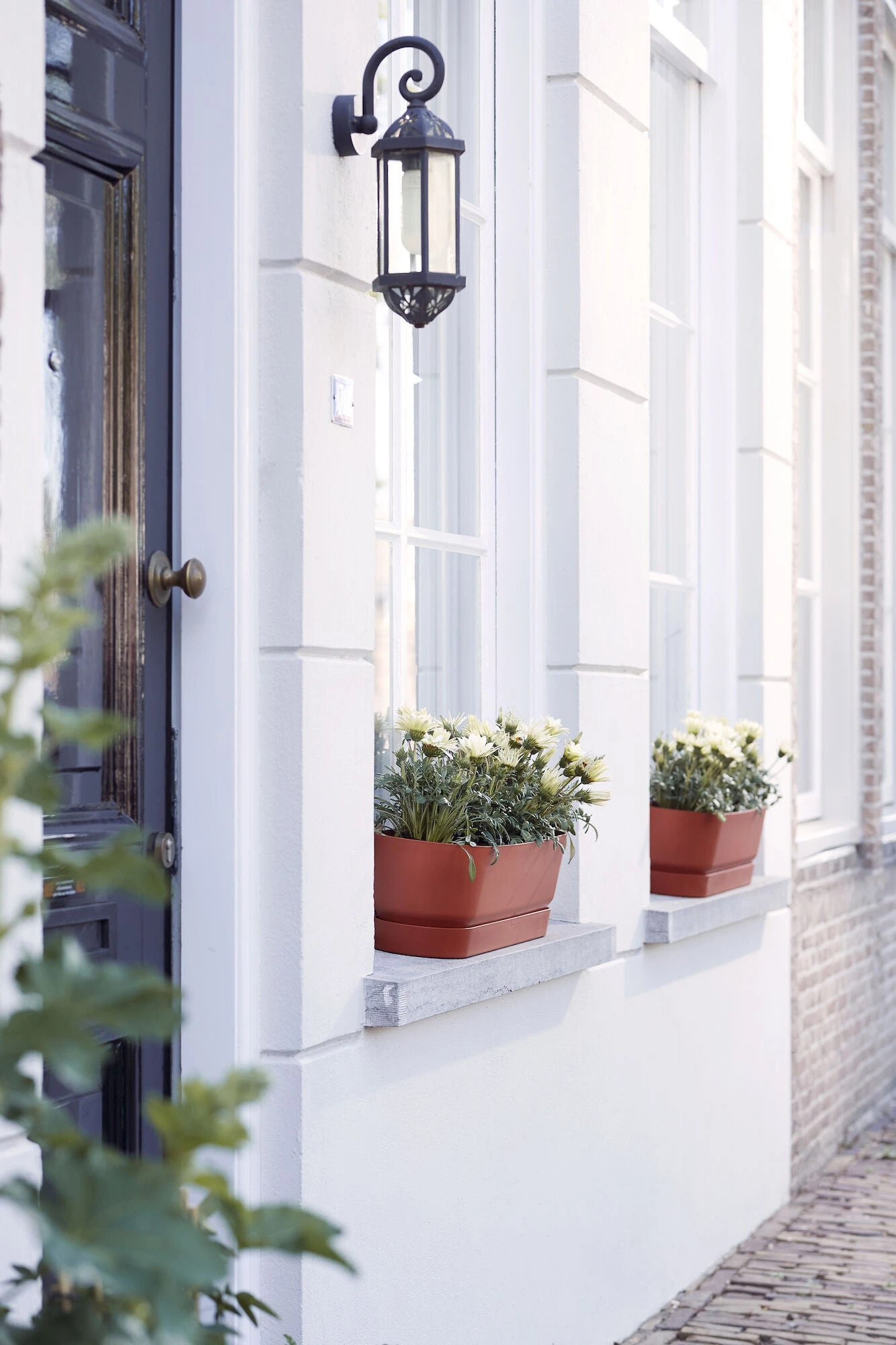 Elho Plantenbak Greenville Bruin 69 X 20 X 18 Cm 3 Elho Plantenbak Greenville Bruin 69 X 20 X 18 Cm - Afbeelding 3