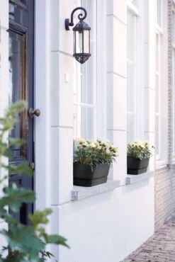 Elho Plantenbak Greenville Zwart 49 X 20 X 18 Cm -Mooi Moestuin 8711904358358 4