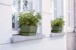 Elho Plantenbak Greenville Groen 49 X 20 X 18 Cm -Mooi Moestuin 8711904358389 3