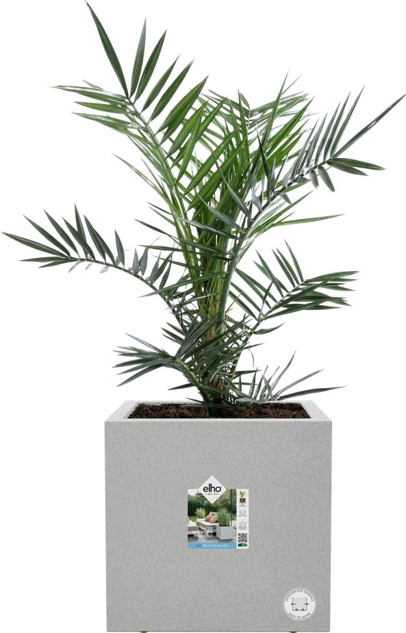 Elho Plantenbak Vivo Next Grijs 30 X 30 X 30 Cm 2 Elho Plantenbak Vivo Next Grijs 30 X 30 X 30 Cm - Afbeelding 2