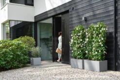 Elho Plantenbak Vivo Next Grijs 59 X 29,5 X 29 Cm -Mooi Moestuin 8711904499648 4