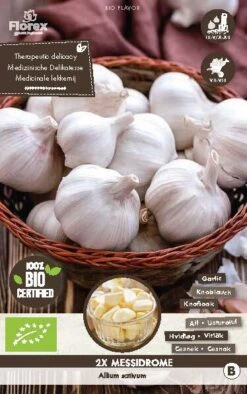 Florex Biologische Knoflook (Allium Activium 'Messidrome') 2 Stuks