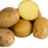 Florex Biologische Aardappelen (Solanum Tuberosum 'Frieslander') 1 Kilo