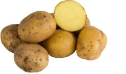 Florex Biologische Aardappelen (Solanum Tuberosum 'Frieslander') 1 Kilo