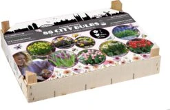 Florex Big Box Bloembollen Stads-bollen 88 Stuks