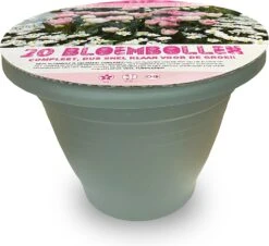 Florex Voorgeplante Bloembollen In Pot Roze Wit 20 Stuks