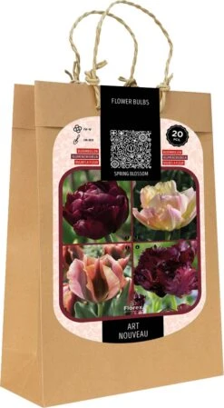 Florex Spring Blossom Bloembollen Art Nouveau Rood Roze Oranje 20 Stuks