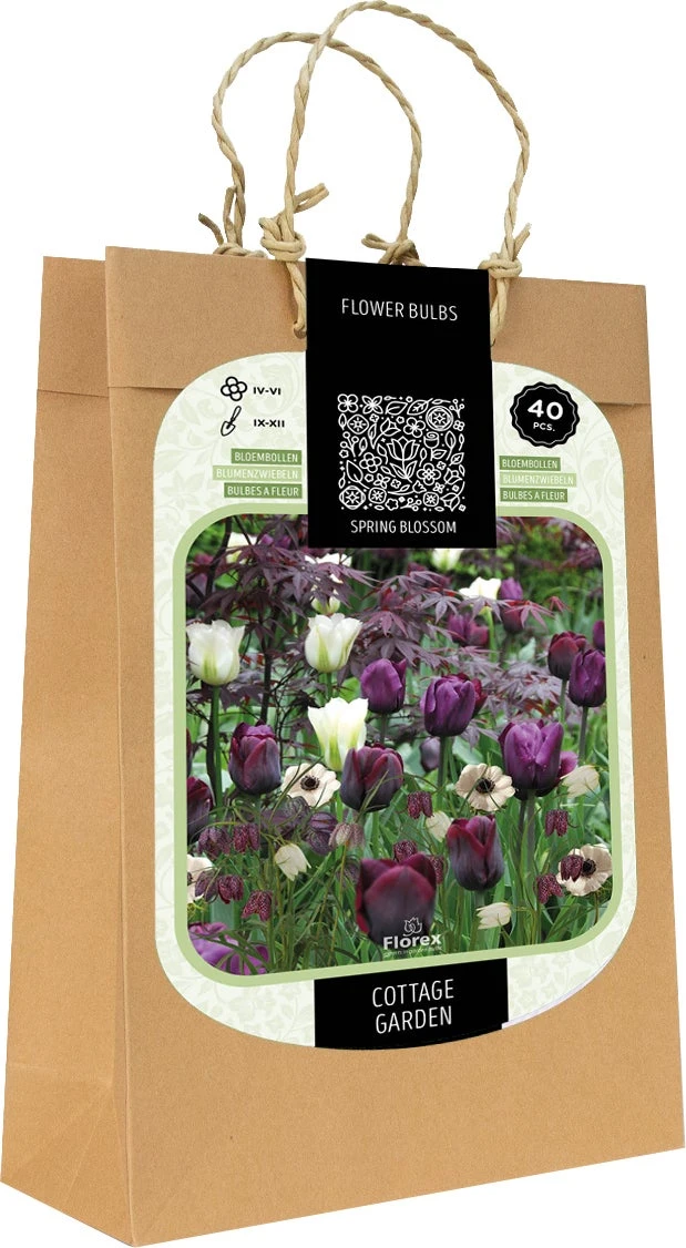 Florex Spring Blossom Bloembollen Cottage Garden Paars Wit 20 Stuks 1 Florex Spring Blossom Bloembollen Cottage Garden Paars Wit 20 Stuks