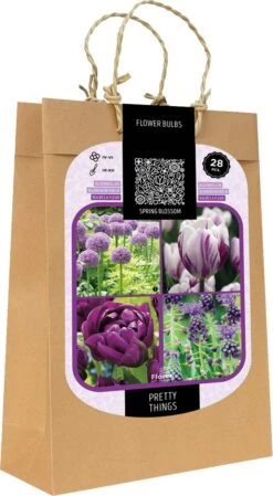 Florex Spring Blossom Bloembollen Pretty Things Paars 28 Stuks