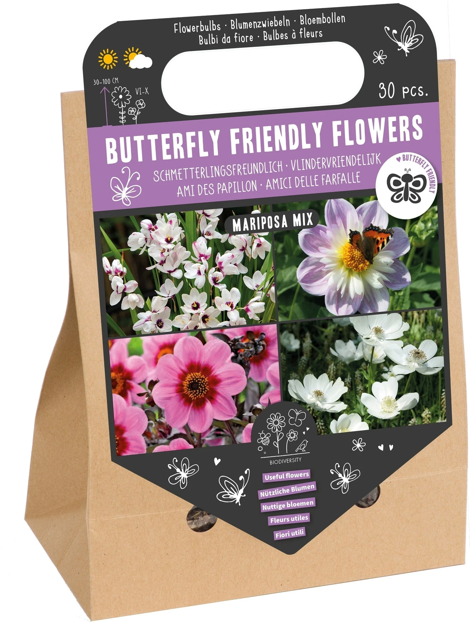Florex Bloembollen Vlindervriendelijk Mariposa Mix 30 Stuks 1 Florex Bloembollen Vlindervriendelijk Mariposa Mix 30 Stuks