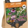 Florex Bloembollen Nuttige Bloemen Lieveheersbeestjes 30 Stuks