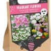 Florex Bloembollen Nuttige Bloemen Geurende Bloemen 30 Stuks