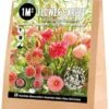 Florex Bloembollen 1M² Bloementapijt Bohemian Summer 25 Stuks