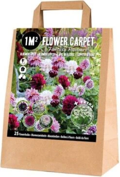 Florex Bloembollen 1M² Bloementapijt Fantasy Flavours 25 Stuks