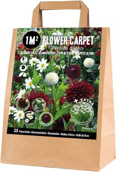 Florex Bloembollen 1M² Bloementapijt Persian Nights 25 Stuks 1 Florex Bloembollen 1M² Bloementapijt Persian Nights 25 Stuks