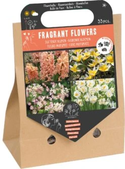 Florex Pick Up Tas Bloembollen Geurende Bloemen 33 Stuks