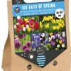 Florex Pick Up Tas Bloembollen 100 Dagen Lente 50 Stuks
