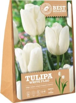 Florex Bloembollen Tulp (Tulipa 'White Flag') 15 Stuks