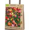 Florex Biologische Bloembollen Bag Tulp Gemengd 11 X 19 X 29 Cm