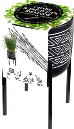 Florex Kruidenset Pot Op Poten Bieslook (Allium Schoenoprasum)