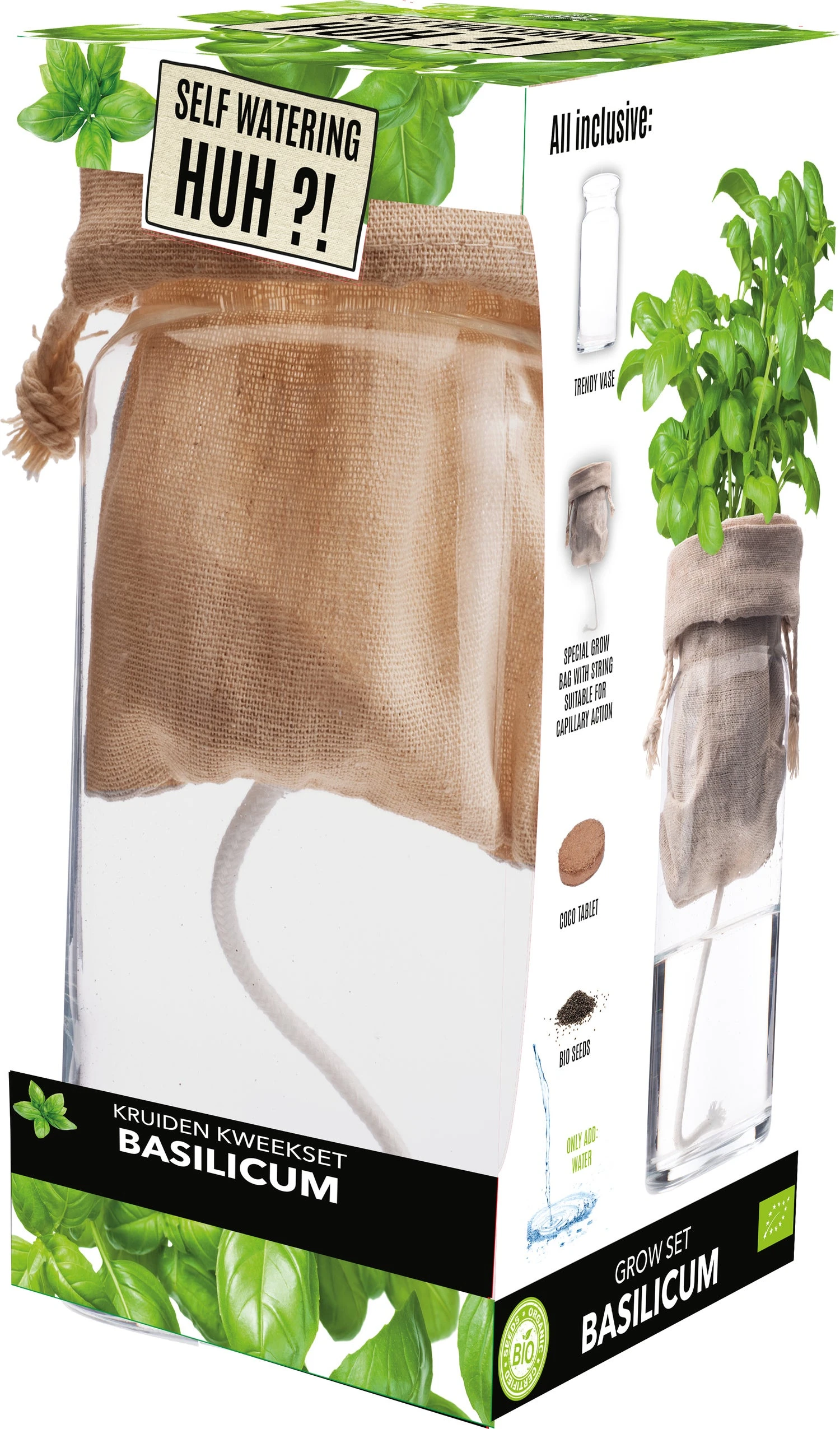 Florex Biologische Kruidenset Basilicum (Ocimum Basilicum) Zelf Bewaterend 1 Florex Biologische Kruidenset Basilicum (Ocimum Basilicum) Zelf Bewaterend