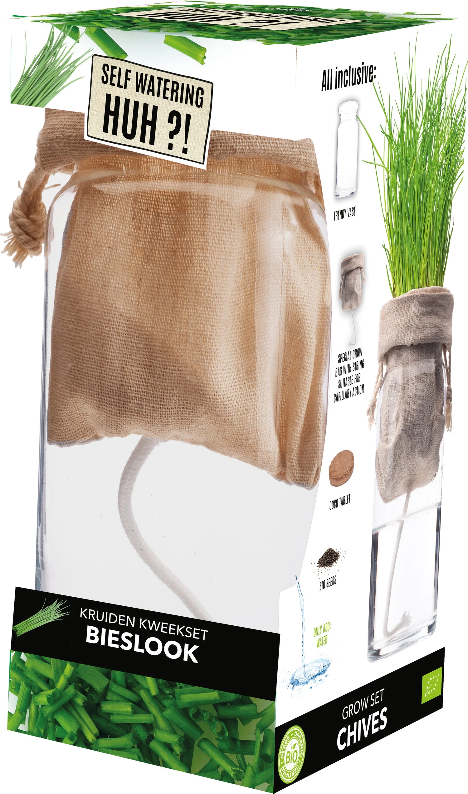 Florex Biologische Kruidenset Bieslook (Allium Schoenoprasum) Zelf Bewaterend 1 Florex Biologische Kruidenset Bieslook (Allium Schoenoprasum) Zelf Bewaterend