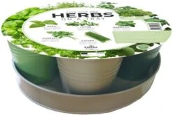 Florex Kruidenzaad Dienblad Met 5 Soorten Kruiden D 26 H 10 Cm