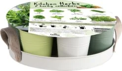 Florex Kruidenzaden Dienblad Met 7 Keukenkruiden