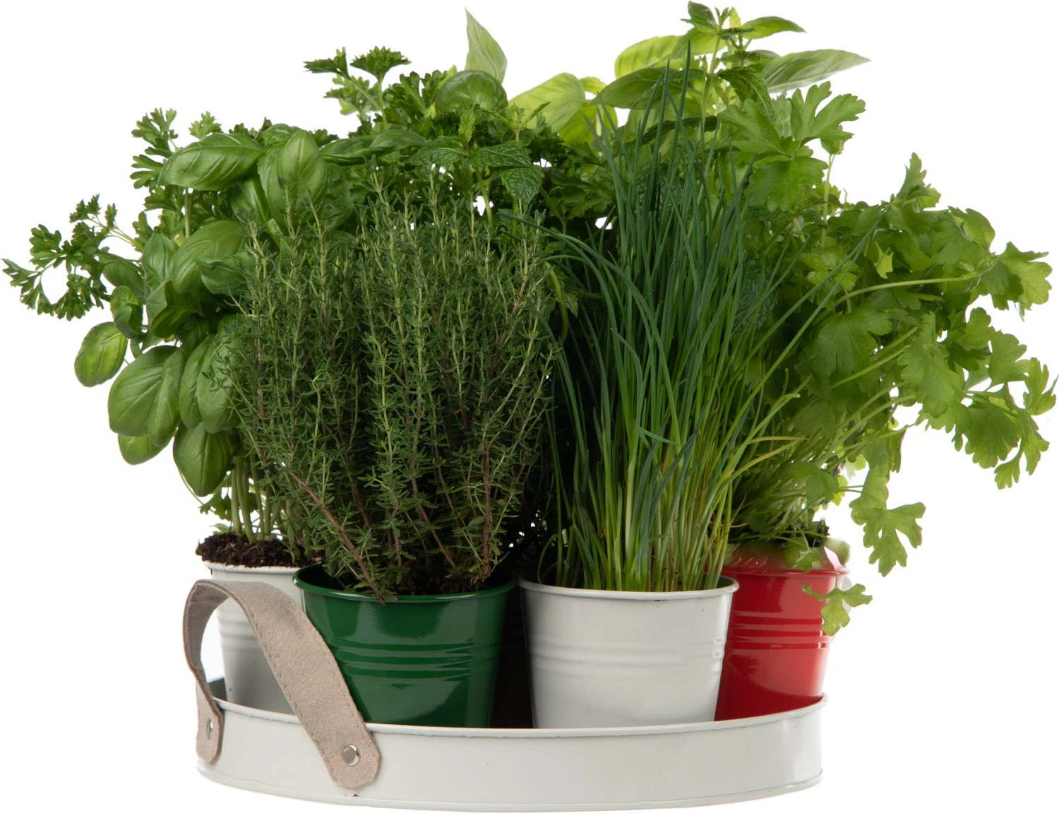 Florex Kruidenzaad Dienblad Met 7 Italiaanse Kruiden 30 X 30 X 10 Cm 2 Florex Kruidenzaad Dienblad Met 7 Italiaanse Kruiden 30 X 30 X 10 Cm - Afbeelding 2