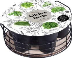 Florex Kruidenzaden Dienblad Met 6 Keukenkruiden D 26 H 10 Cm