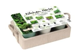 Florex Kruidenzaad 6 Kruiden Dienblad 28 X 19 X 10 Cm