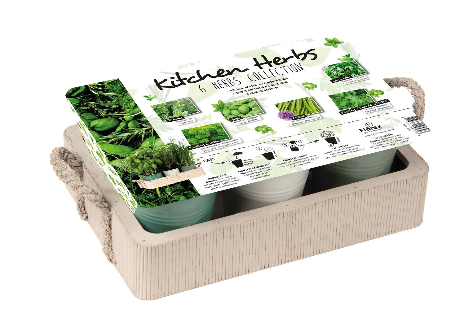 Florex Kruidenzaad 6 Kruiden Dienblad 28 X 19 X 10 Cm 1 Florex Kruidenzaad 6 Kruiden Dienblad 28 X 19 X 10 Cm