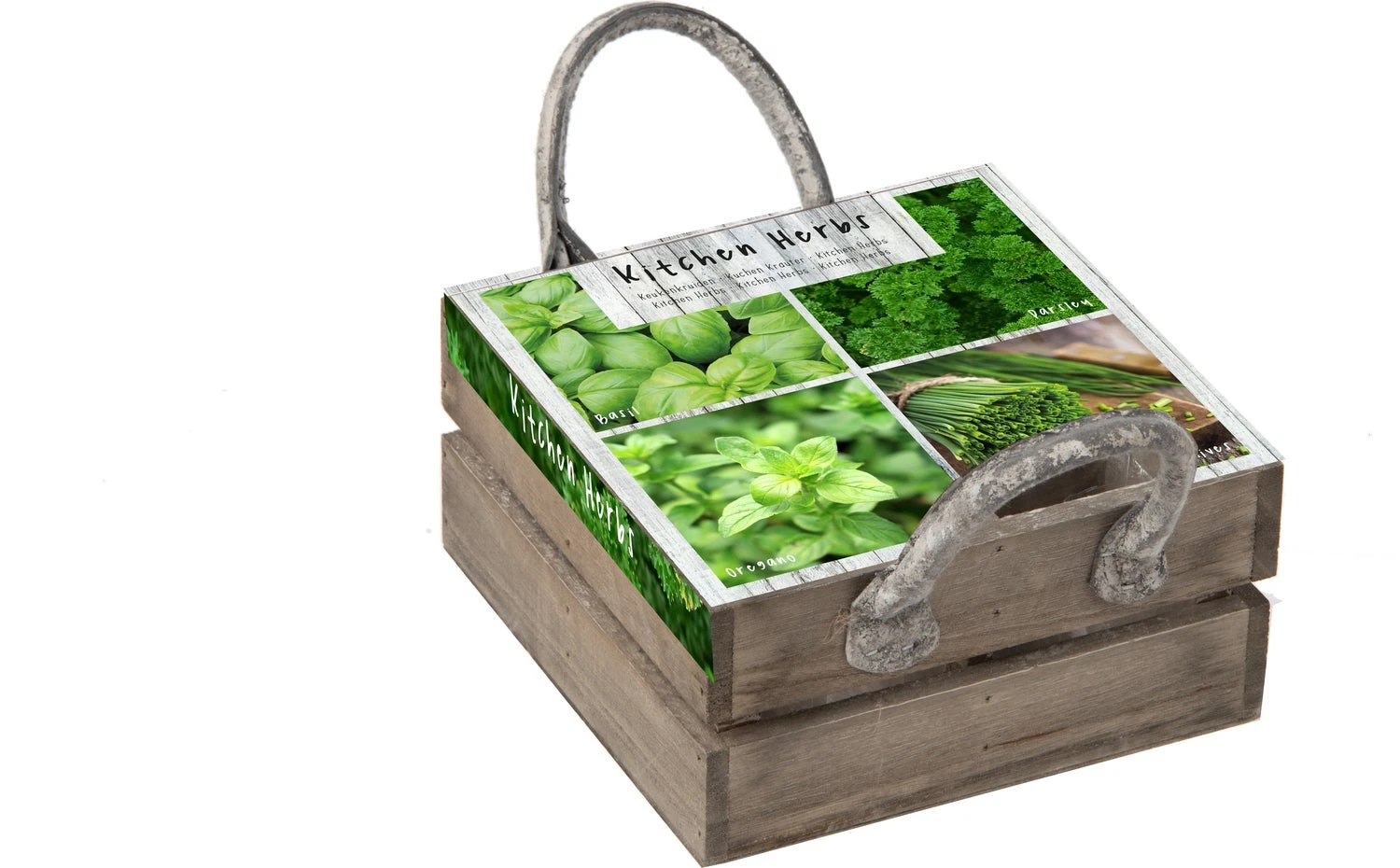 Florex Kruidenzaad 4 Keukenkruiden In Een Box 18 X 19,5 X 9 Cm 1 Florex Kruidenzaad 4 Keukenkruiden In Een Box 18 X 19,5 X 9 Cm