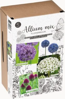 Florex Bloembollen Trendy Allium