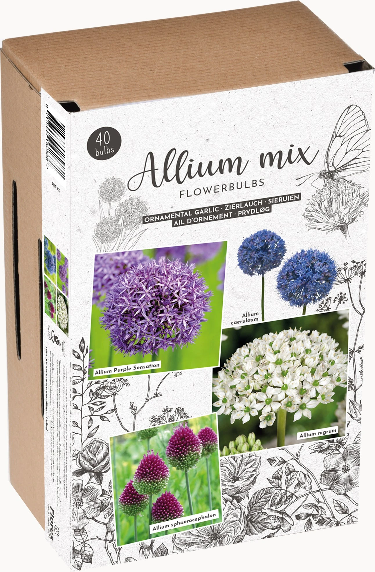 Florex Bloembollen Trendy Allium 1 Florex Bloembollen Trendy Allium