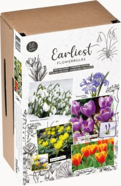 Florex Bloembollen Vroegbloeiers
