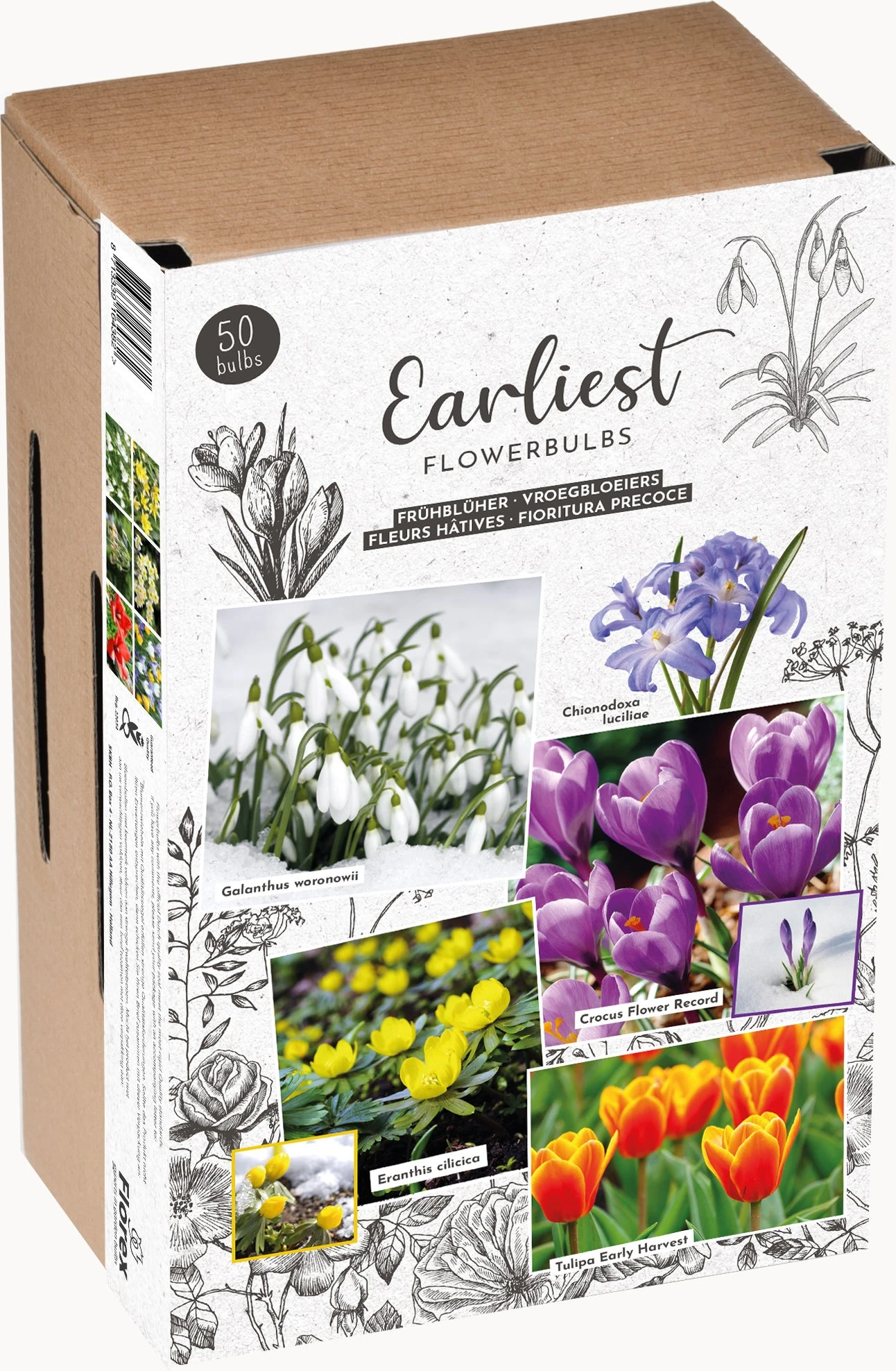 Florex Bloembollen Vroegbloeiers 3 Florex Bloembollen Vroegbloeiers - Afbeelding 3